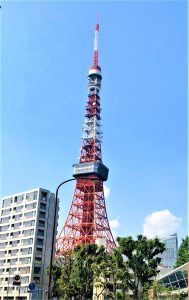 午後からもいいお天気です！！