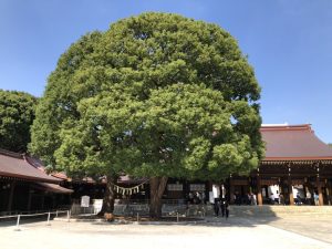 定休日☆お問合せ多数☆ありがとうございます😊