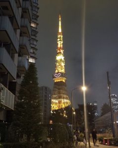 とっとっ東京タワーがぁー🗼